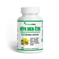 Hépa Bien-Être : Détox Foie & Bien-Être Hépatique – Formule Radis Noir, Artichaut & Curcuma - complément alimentaire natur...