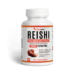 Fortifiant, Soutien Immunité & Anti-Stress – Champignon Reishi (Adaptogène) - complément alimentaire naturel Maroc | Alpha...