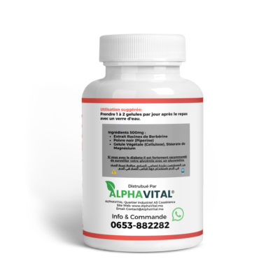Berbérine 500 mg – Équilibre Glycémique, Métabolisme & Vitalité | Alphavital 7 berberine alphavital 60 BACK